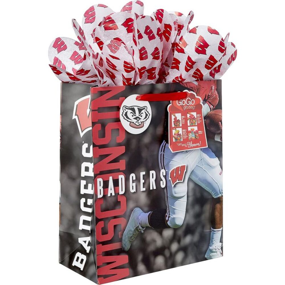 Wisconsin Badgers GoGo Gift Bag, Large